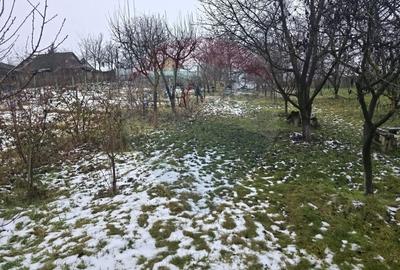 Teren Construcții intravilan de 4516 mp, în Doina - 27