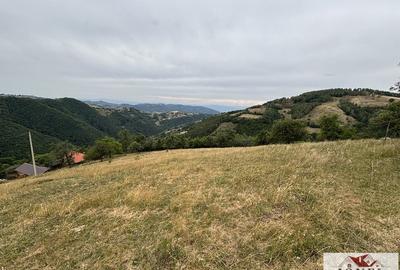 Casa de vanzare in comuna Sasciori cu 84.843 mp teren - 9