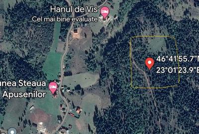 Teren de 10000 mp, în Central - 5