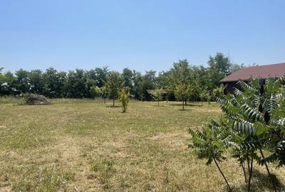 Spațiu comercial, în Budacu de Jos - 7