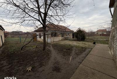 Casă cu 5 camere cu Teren 4319 Mp în Central - 5