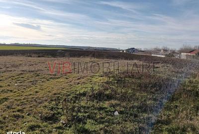 Spațiu comercial, în Bucovăț - 6