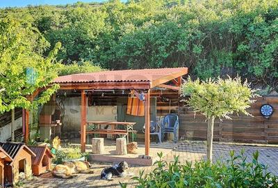 Duplex cu 6 camere cu Canalizare în Baciu - 3