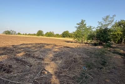 Teren Dn4 Frumusani - 2