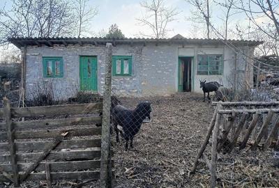 Casă cu Teren 1000 Mp în Cerchezu - 1