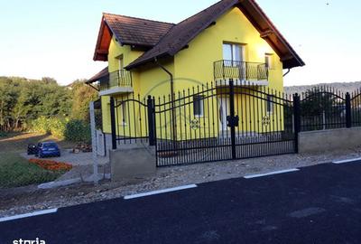 Casă cu 4 camere în Blăjenii de Jos - 1