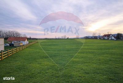 Teren de 4000 mp, în Vințu de Jos - 5