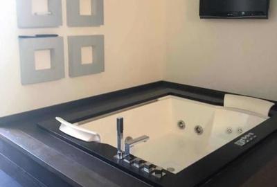 Vila pentru inchiriere Herastrau - 6