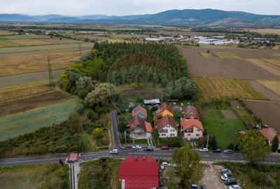 Casă / Vilă deosebita de vânzare, Hateg jud. Hunedoara - 30