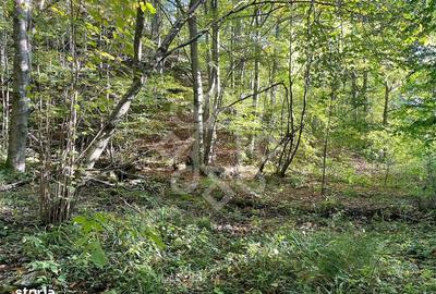 Teren de 2482 mp, în Ciupercenii Noi - 4