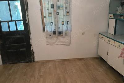 Gospodarie in Jud. Valcea, com. Pe?ceana, sat Ursoaia, 2 case ?i anexe - 5