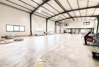 Spațiu industrial, de 500 mp, în Periferie - 3