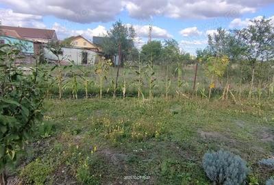 Casă cu 3 camere în Aradului - 2