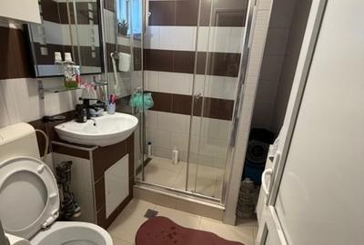Apartament cu 2 camere semidecomandat, mobilat în Craiovița Nouă - 15