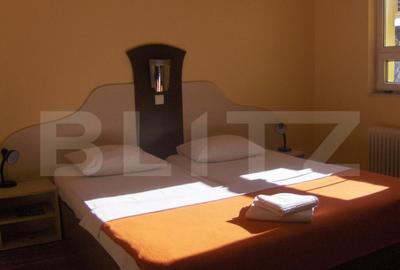 Pensiune de inchiriat, 450 mp, zona Lugojului Pensiune de inchiriat, 450 mp, zona Lugojului - 11