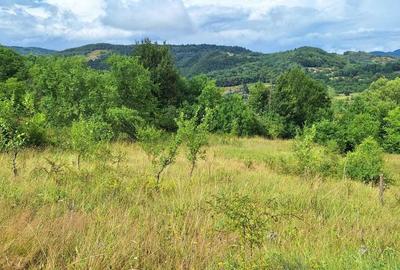 Spațiu comercial, în Ormindea - 6