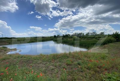 Teren extravilan 10000 mp, cu balta de peste, Salaj, Sarmasa - 5