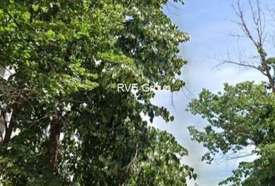 Vanzari 2 Camere Titan - metrou Titan / N. Grigorescu / 1 Dec. 1918 Vanzari 2 Camere Titan - metrou Titan / N. Grigorescu / 1 Dec. 1918 - 5