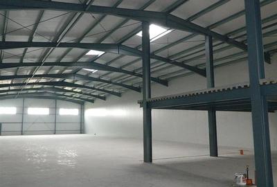 Hala noua productie / depozitare ,1000 mp , zona Aradului - 1