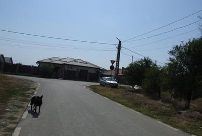 Teren Construcții intravilan de 6784 mp, în Domnești - 3