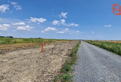 Teren intravilan cu toate utilitatiile zona Daimond Events Sacalaz - ID V5476 Teren intravilan cu toate utilitatiile zona Daimond Events Sacalaz - ID V5476 - 8