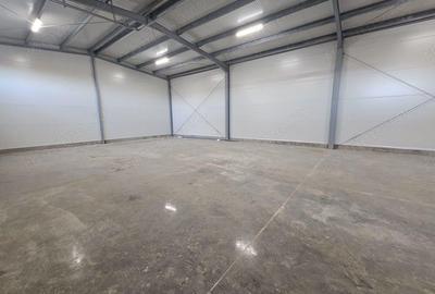 Hale noi depozitare Lugoj diferite dimensiuni 115 mp - 530 mp utili!! - 3