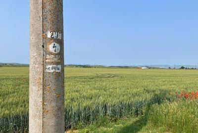 Teren agricol extravilan de 7900 mp, în Central