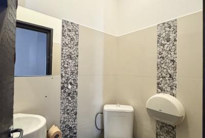 Proprietate situata in Dorobanti - Putul lui Zamfir Proprietate situata in Dorobanti - Putul lui Zamfir - 21