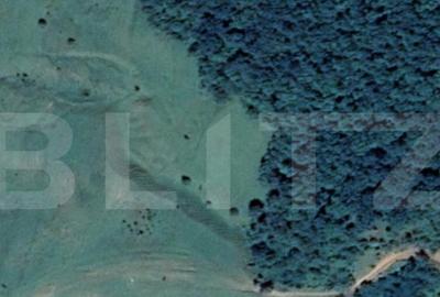 Teren 28 arii extravilan - Saratel - 1