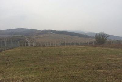 Teren Construcții intravilan de 15500 mp, în Cetate - 2