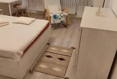 Garsoniera baba novac-campia libertatii-modern - 5