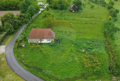 Casă cu 3 camere cu Teren 3760 Mp în Arieșu de Pădure - 12