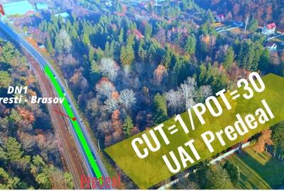 Teren de 10000 mp, în Timișu de Jos - 5