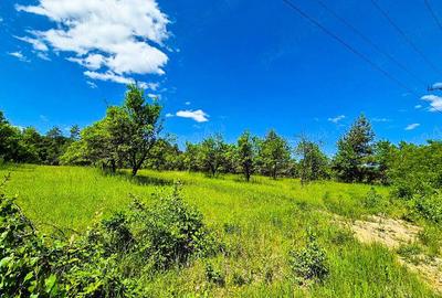 Teren intravilan Cotmeana Arges - 4