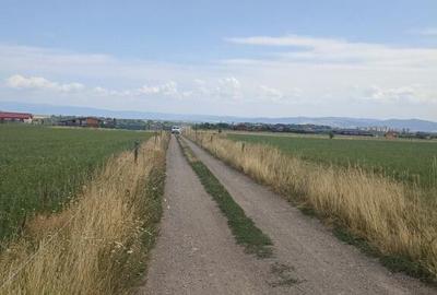 De vanzare terenuri extravilane in Sfantu Gheorghe - 3