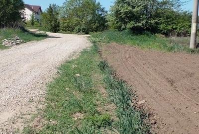 Teren Construcții extravilan de 4881 mp, în Corbeanca Teren Construcții extravilan de 4881 mp, în Corbeanca - 9