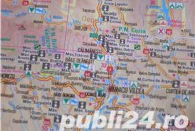 Casă cu 6 camere cu Teren 6000 Mp în Pietreni - 1