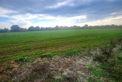 Teren Construcții intravilan de 1800 mp, în Butimanu - 1