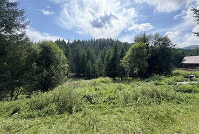 Spațiu comercial, în Mănăstirea Humorului - 2