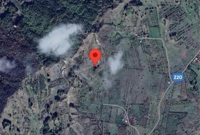 Teren 43.297 mp Sarule?ti, Buzau | Agricol & Turistic. - 3