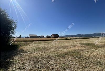 Teren extravilan de 10400 mp cu 2 deschideri in Cristian zona Serelor - 2