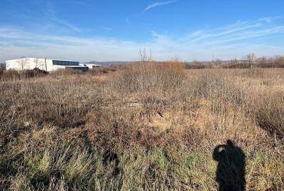 Teren intravilan, Sacadat, 27 921 mp. 9,5 Euro/mp. Comi... - 24