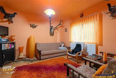 FILM 3D! Doua case cu:piscina,foisor,arbori decorativi,1.700mp teren,Lutoasa,Covasna - 14