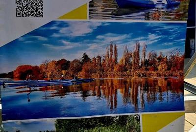 Spațiu comercial, în Sârbi - 7