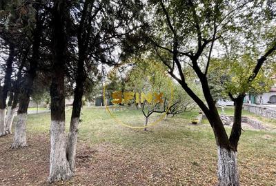 Vila Zoldy, 21.823 mp teren cu iesire catre paraul Prahova Vila Zoldy, 21.823 mp teren cu iesire catre paraul Prahova - 7