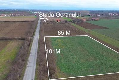 Teren de 6600 mp, în Lazuri - 1