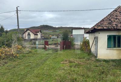 Teren 4000 mp,autorizatie de constructie Lechinta - 11