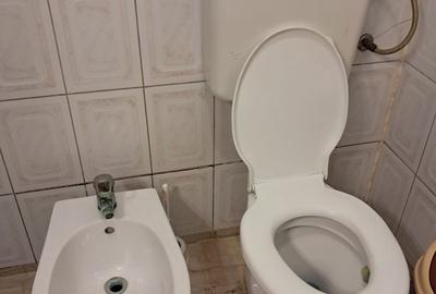 Garsonieră decomandată în Podgoria - 6