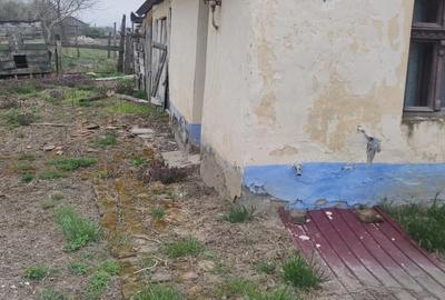 Casă cu Teren 120 Mp în Cenaloș - 3
