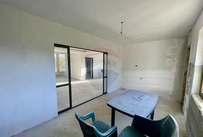 Casa / Vila in Tifesti - 9
